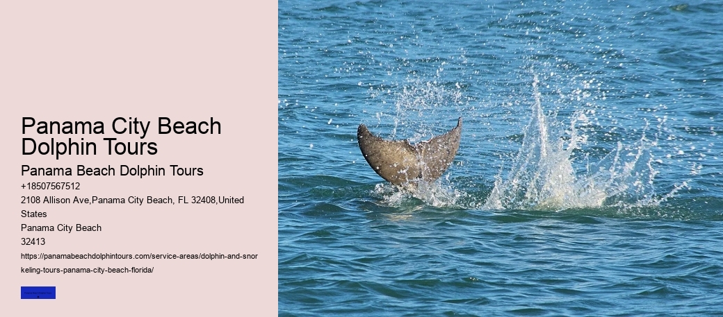 Panama City Beach FL Dolphin Cruise