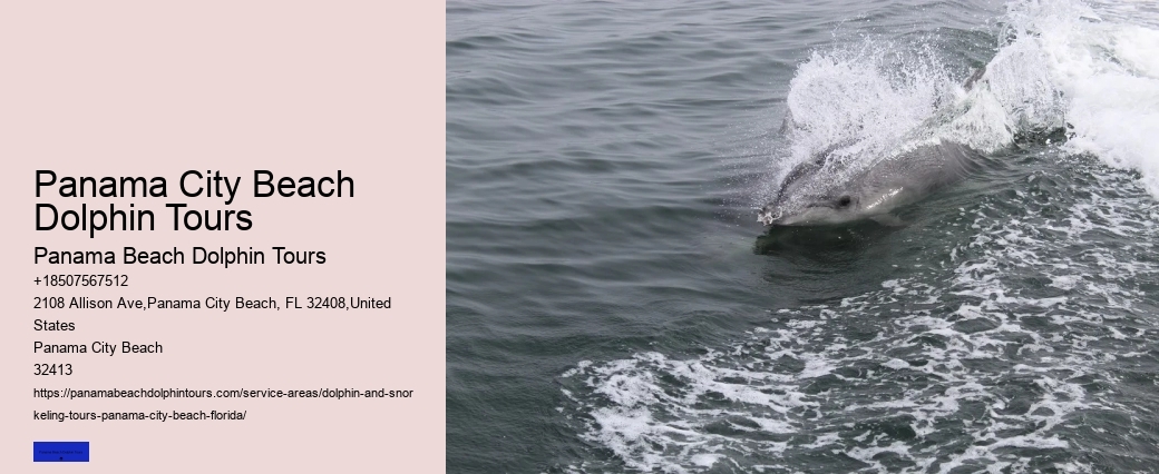 Dolphin Snorkeling