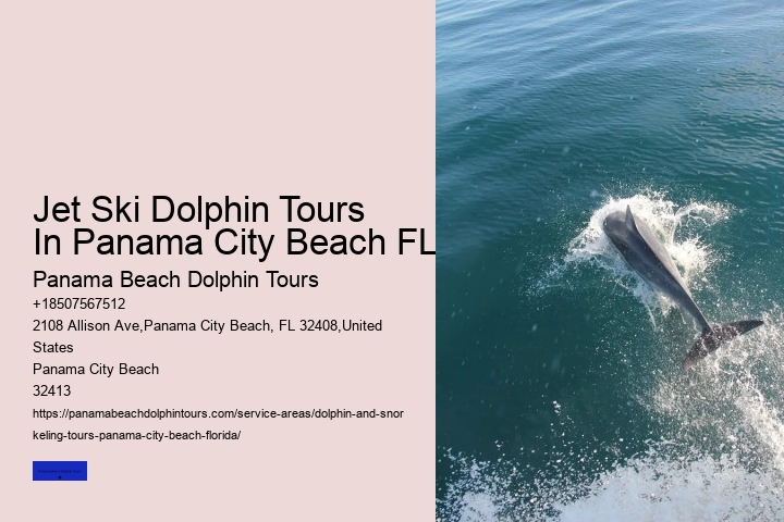 What Month Is Best For Dolphin Watching