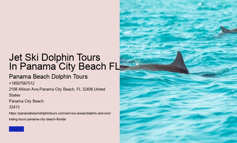 Swim With The Dolphins Attractions