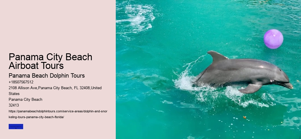 Dolphin Tours In Panama City Beach