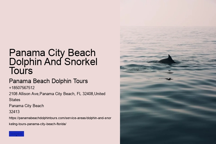 Jet Ski Dolphin Tour Panama City Beach