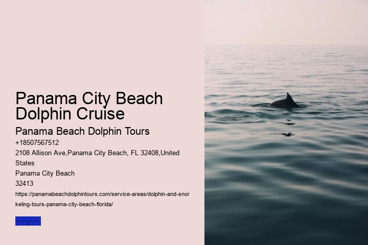 Dolphin & Whale Watching In Panama City Beach