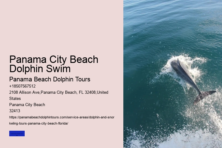 Sunset Dolphin Cruise Panama City Beach FL