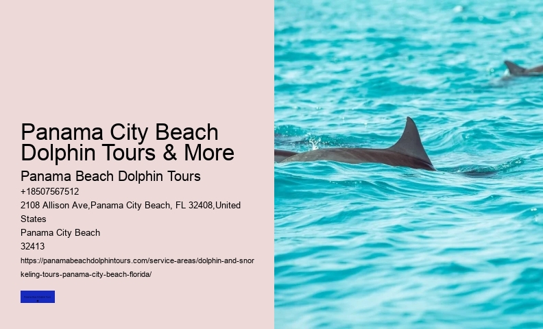 What Time Of Day Are Dolphins Most Active