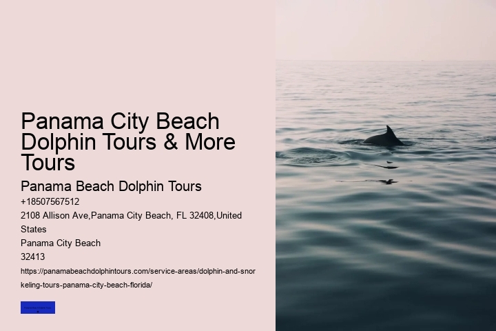Dolphin Swim Tours Panama City Beach