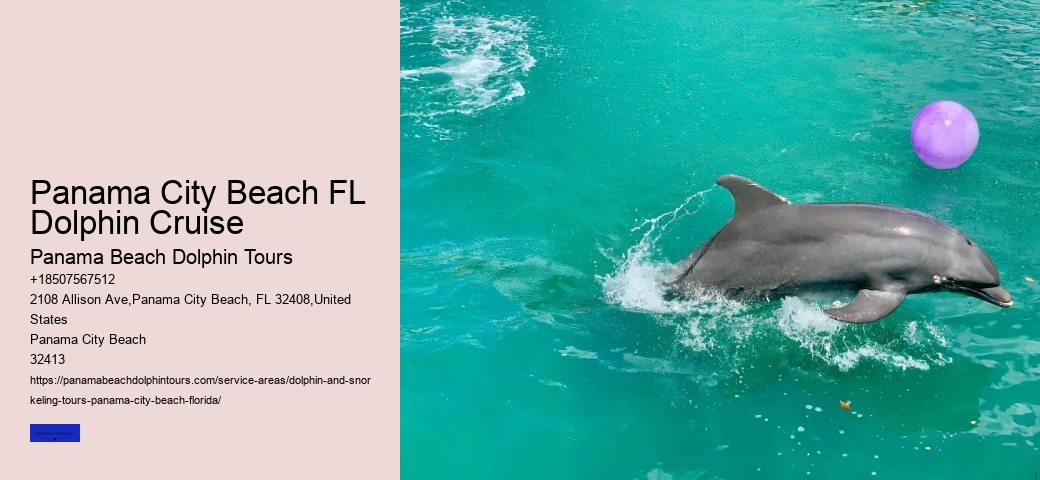 Panama City Dolphin Seafari