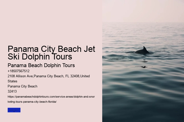 9 Great Dolphin Tours In Panama City Beach
