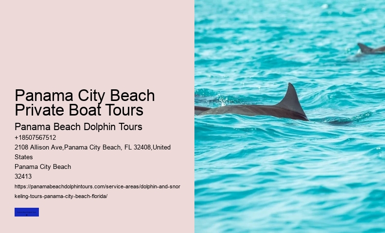 Swimming With Dolphins