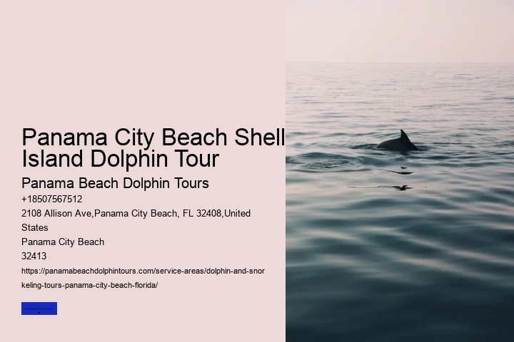 Best Sunset Dolphin Cruise Panama City Beach