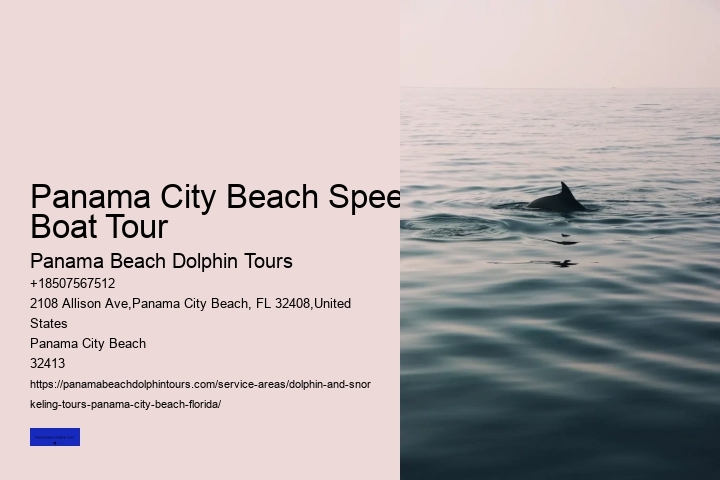 Is It Safe To Swim With Dolphins At A Resort
