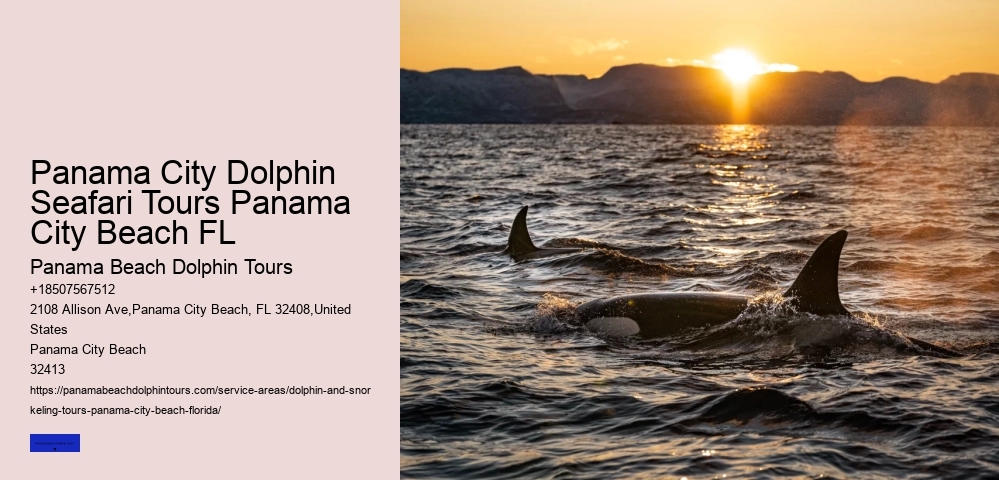Top 7 Destinations For Whale Watching