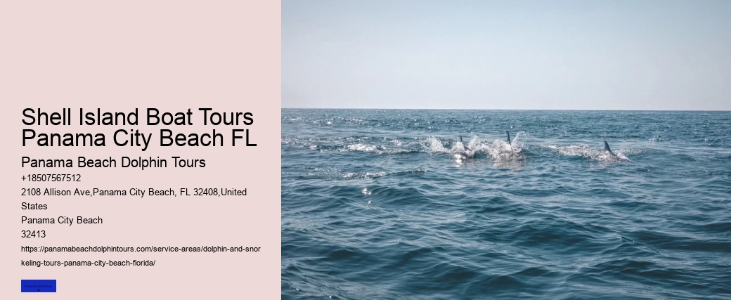 Sunset Dolphin Cruise Panama City Beach Florida