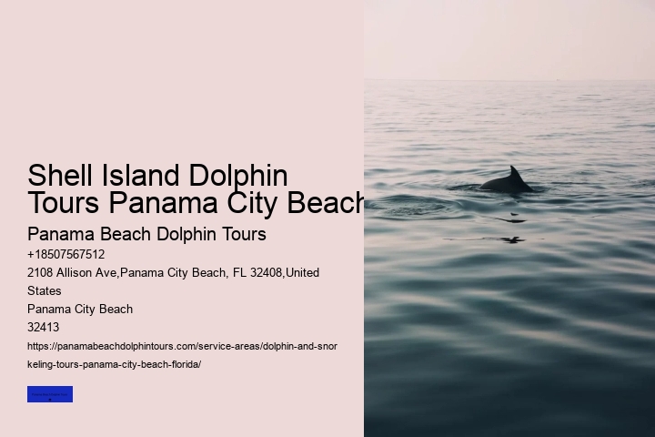 Dolphin Tours In Panama City Beach Florida