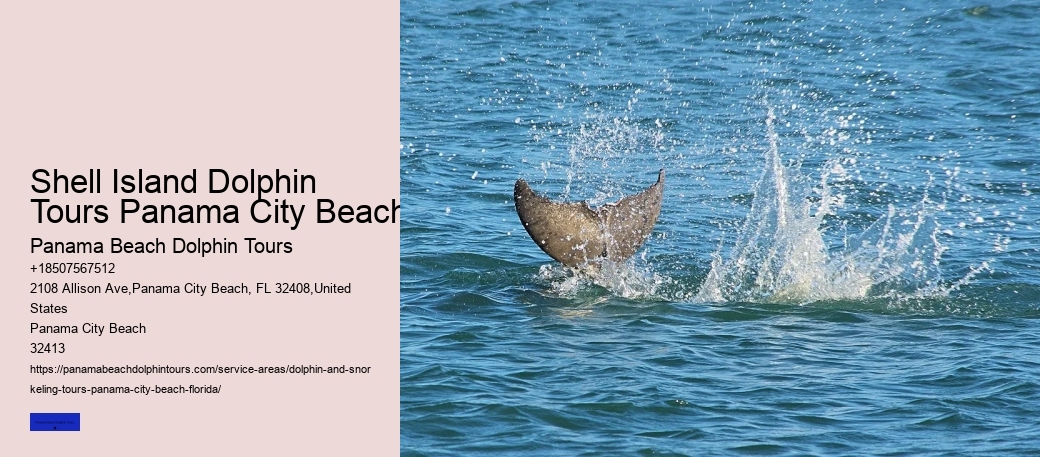 Dolphin Tales