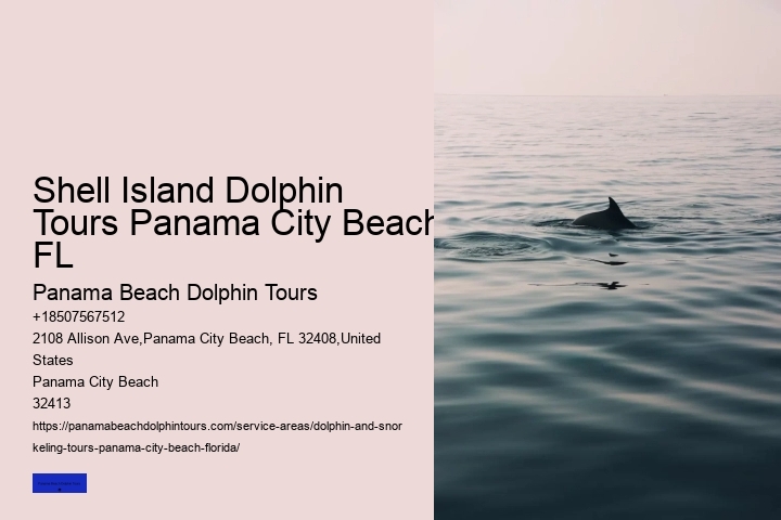 Things To Know For A Successful Dolphin Spotting