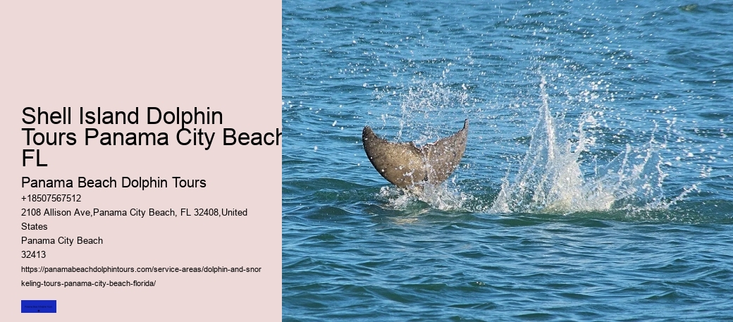 Dolphins In