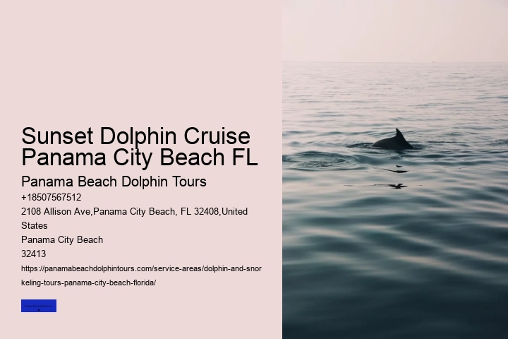 Dolphin Sightseeing Tours
