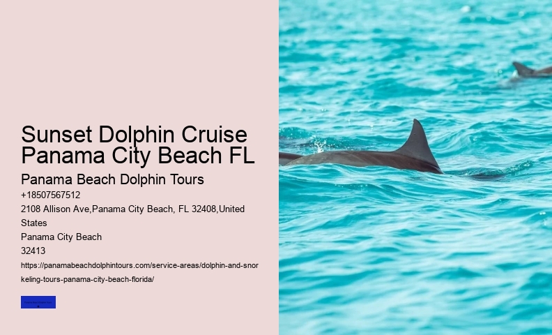 Is It Ethical To Swim With Dolphins