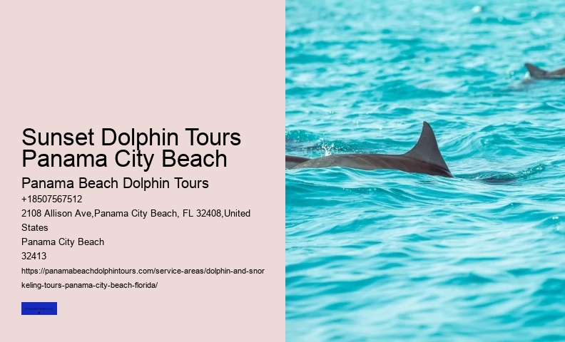 Dolphin Swim In Panama City Beach FL